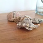 וילה Agrielia Pondi
