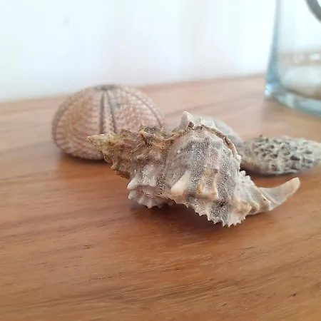 빌라 Agrielia Pondi